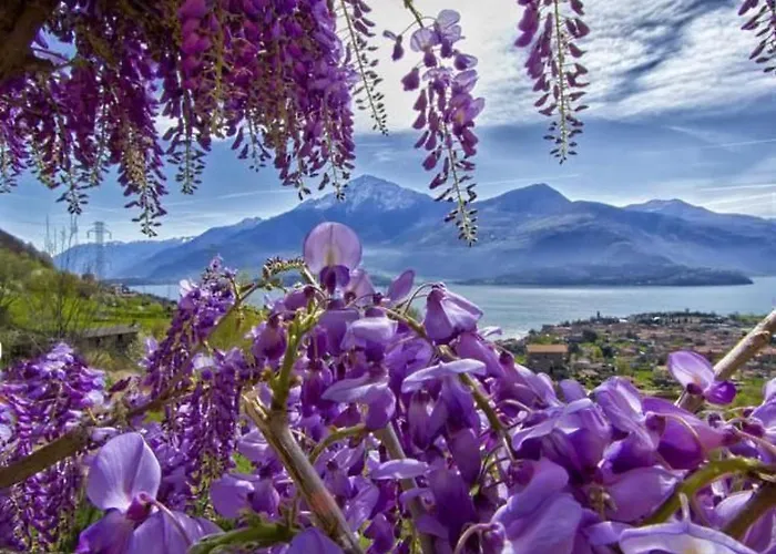 Apartmán 'casa Domenica' Mit Blick Aufs Wasser By Interhome Gravedona