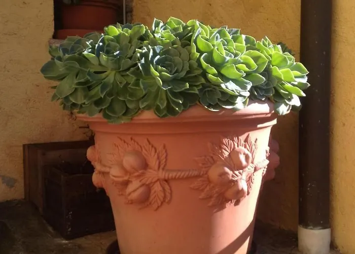 Apartmán 'casa Domenica' Mit Blick Aufs Wasser By Interhome