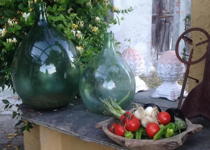 'casa Domenica' Mit Blick Aufs Wasser By Interhome 아파트 그라베도나